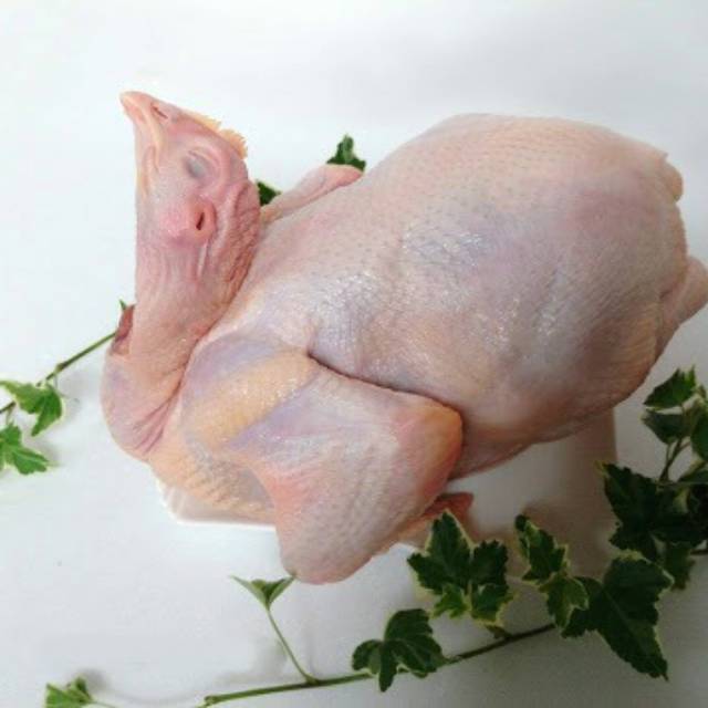 

Ayam Broiler Utuh ±1kg