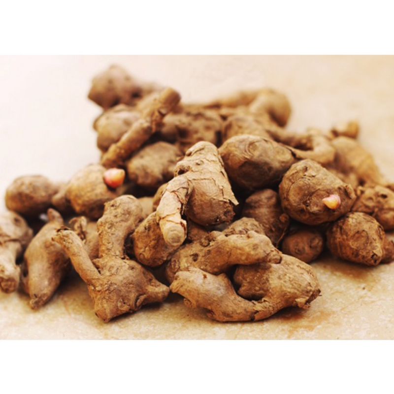 

Temu kunci 250gr