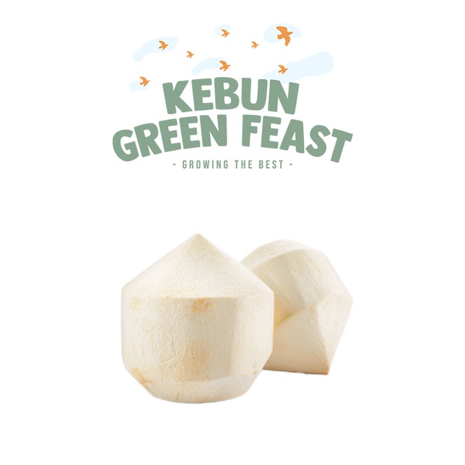 

Kelapa Muda Thailand - Thailand Coconut