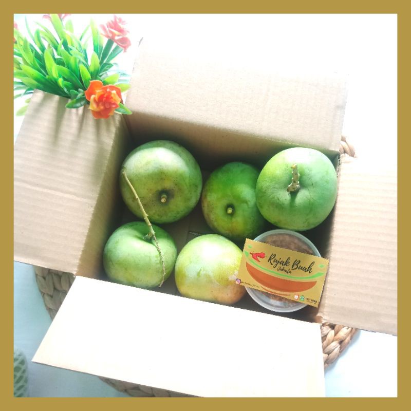 

Paket Rujak Mangga Bumbu Ulek