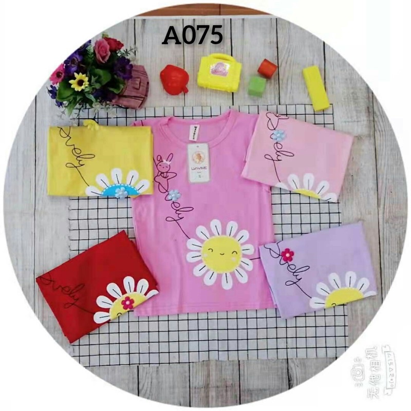 PAKET 1 LUSIN KAOS ANAK PEREMPUAN 1-5 TAHUN/KAOS ANAK PEREMPUAN IMPORT ADEM TEBALL#COD BAYAR DI TEMPAT