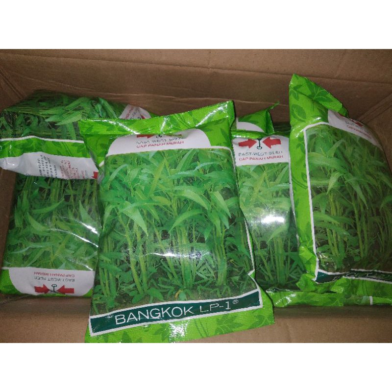 

Kangkung Bangkok