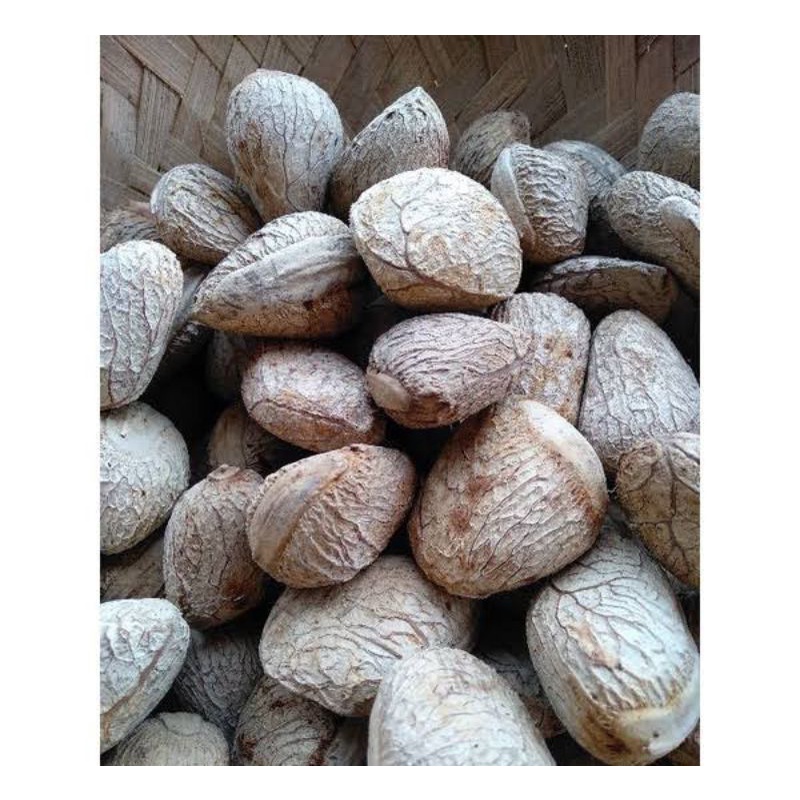 

Keluak / pucung 1 Kilogram