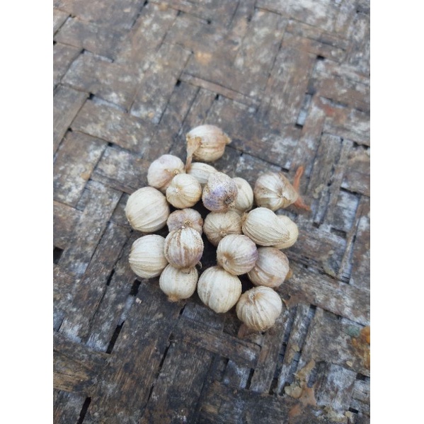 

100g kapulaga kering/ 100g kapulaga jawa