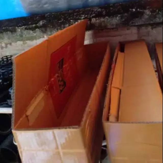 

Packing kardus tebal untuk keamanan tanaman hias anda