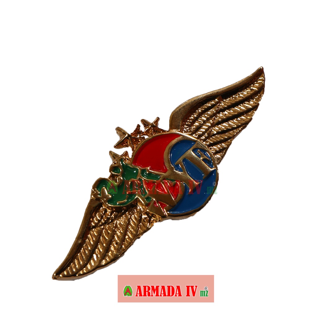 Brevet Wing Beladiri YONGMOODO TNI Pin WYF