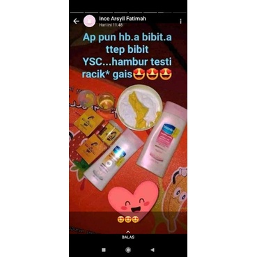 Bibit Yellow YSC pemutih badan terampuh 100% original