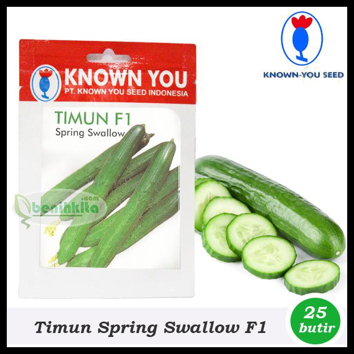 BENIH/BIBIT TIMUN JEPANG SPRING SWALLOW F1 (KNOWN YOU SEED)
