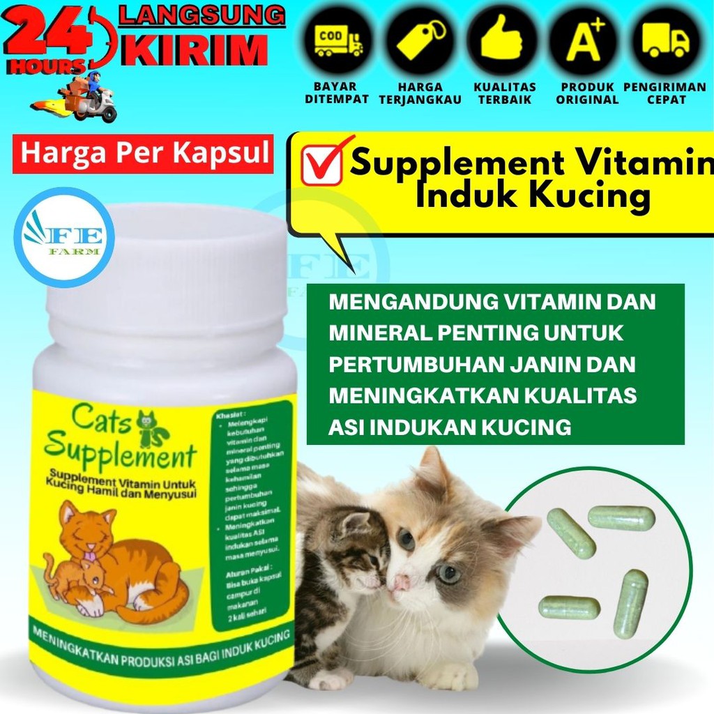 Suplemen Vitamin Kucing Menyusui Hamil Melancarkan Asi Indukan Kucing FEFARM