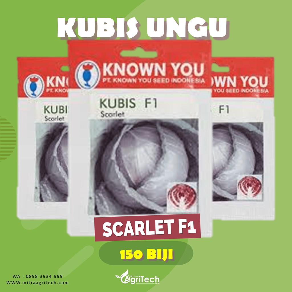 Jual Benih Bibit Kubis Kol Ungu Scarlet F Isi Biji Known You Seed Kys Shopee Indonesia