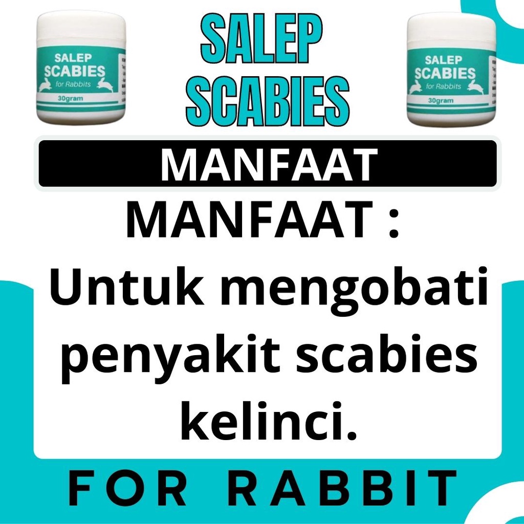 Obat Scabies Kelinci, Salep Scabies Kelinci, Scabies Kelinci FEZONE