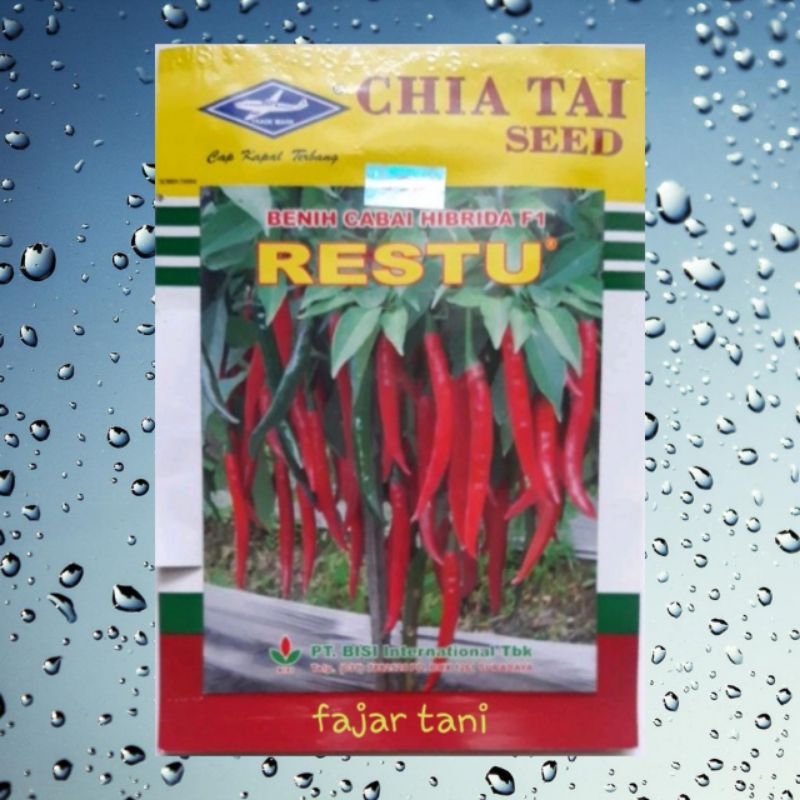 Benih cabai merah besar RESTU f1 isi 10 gr bibit cabe cap kapal terbang