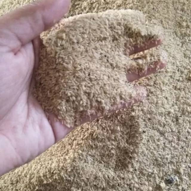 

Telur jangkrik alam 250gr