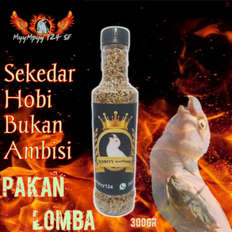 Pakan Lomba Lovebird JUARA