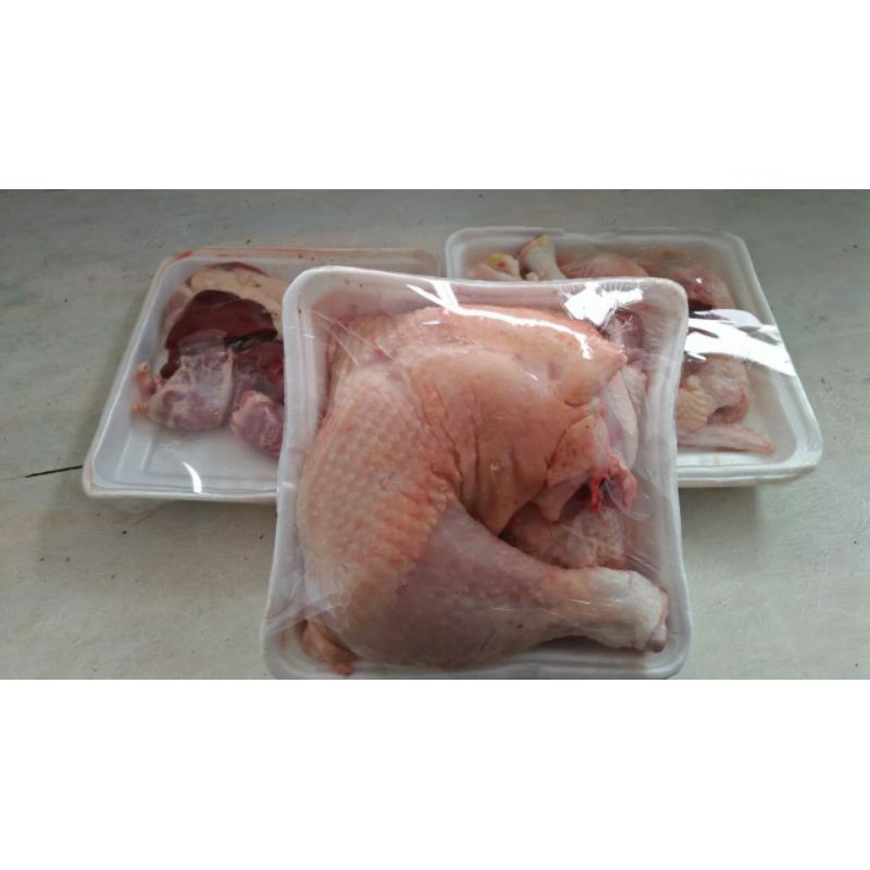 

Daging Ayam