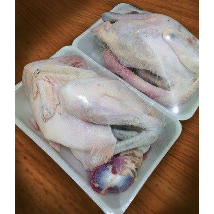 

Ayam Kampung Potong Per Ekor