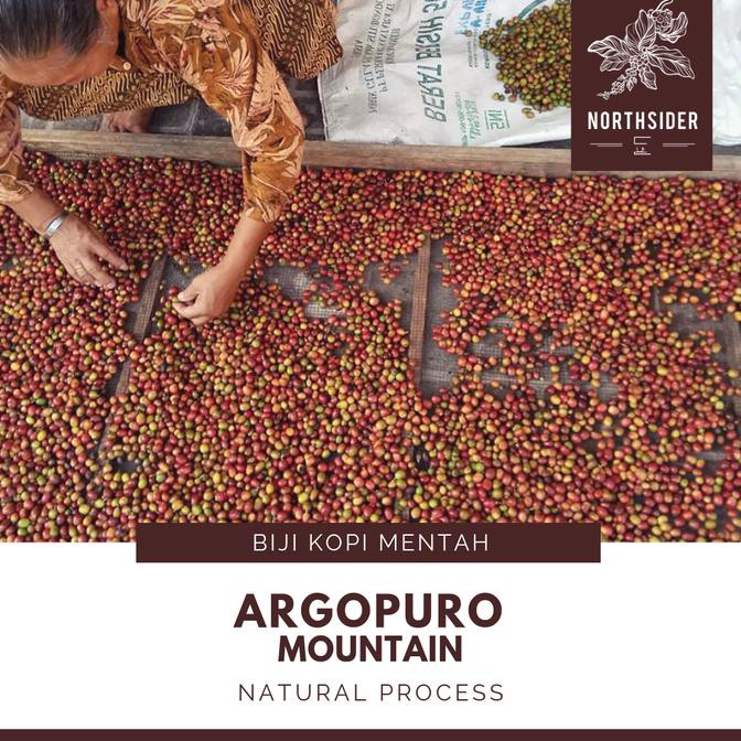 

BIJI KOPI ARABIKA ARGOPURO NATURAL - BIJI KOPI MENTAH