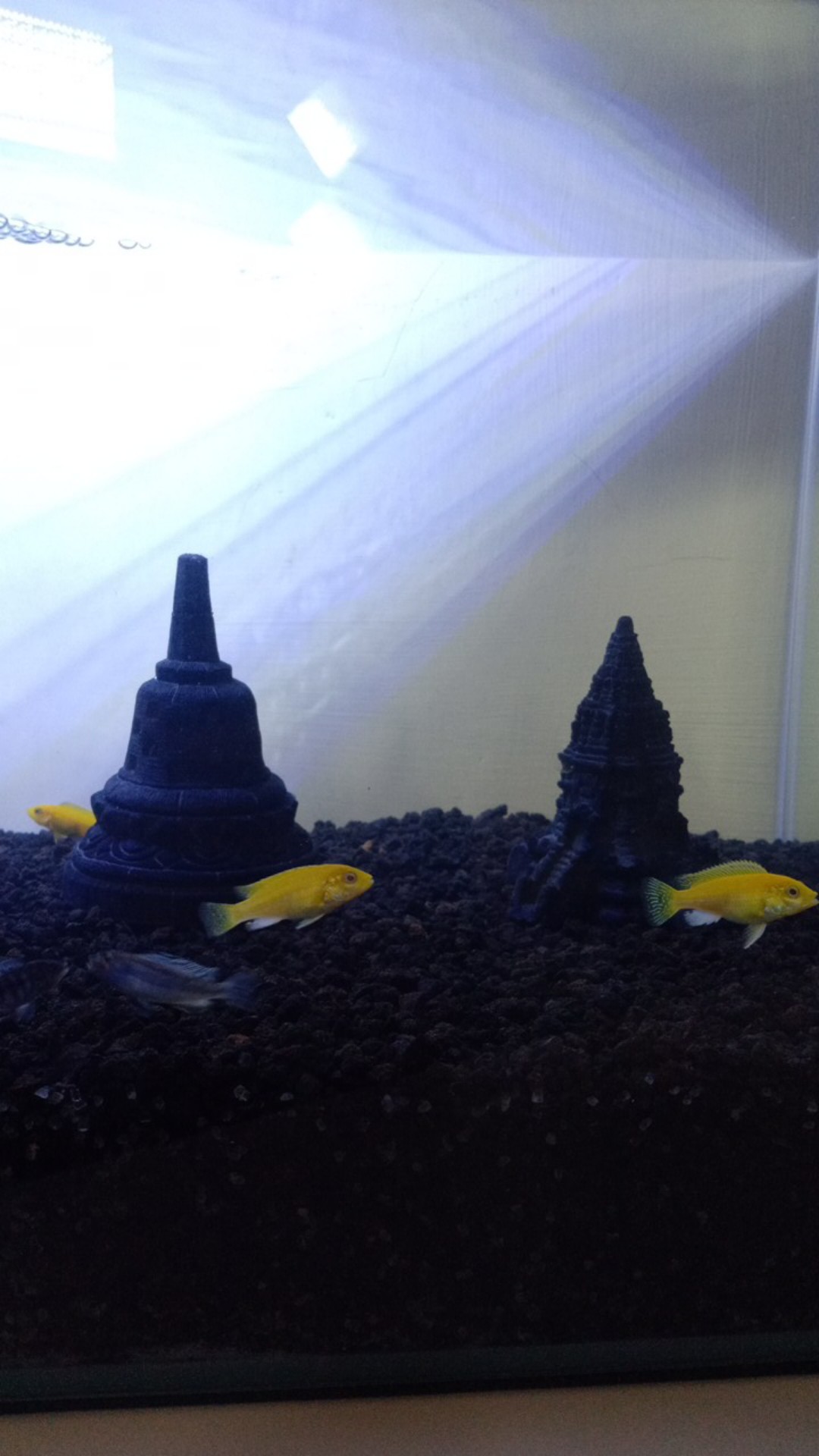 Miniatur Candi Prambanan 4 Pintu Ukuran 9 × 7,5 × 7,5 Cm Bantu Candi Asli