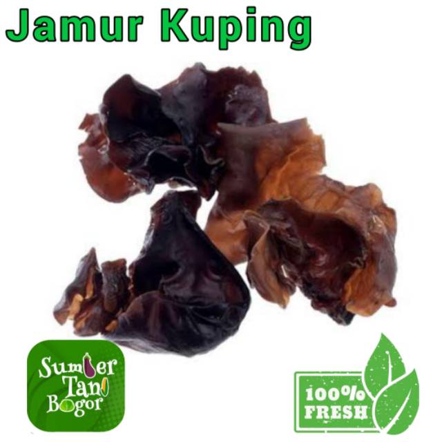 

JAMUR KUPING PER 500 GRAM