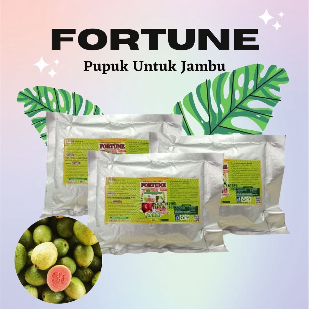 Pupuk Jambu Kristal, Pupuk Pelebat Buah Jambu, Pupuk Fortune