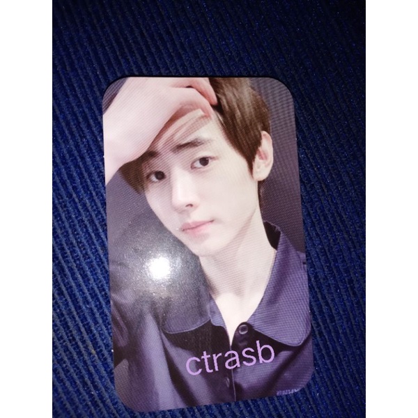 PC sunghoon PC np neck pillow global sunghoon