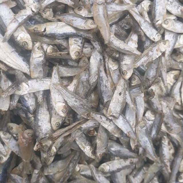 

Ikan Teri Peptoh