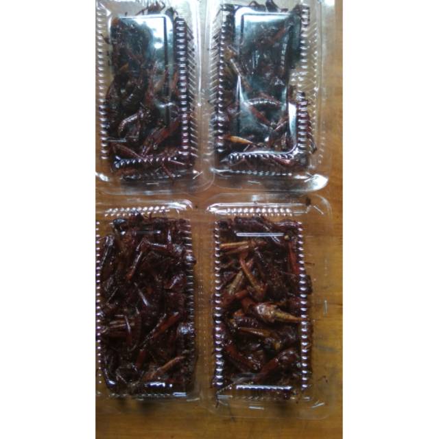 

Walang kayu gurih 1ons 10rb