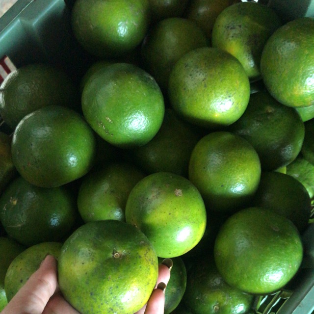 

Jeruk manis