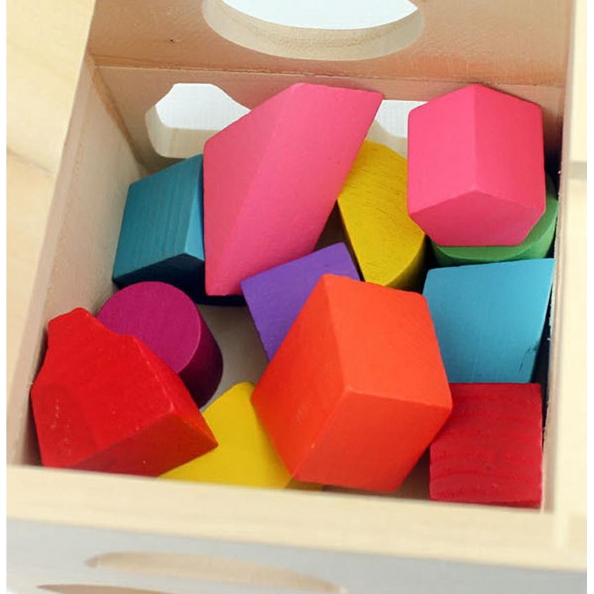 Thirteen Hole Intelligence DDM08 - Mainan Edukasi Anak