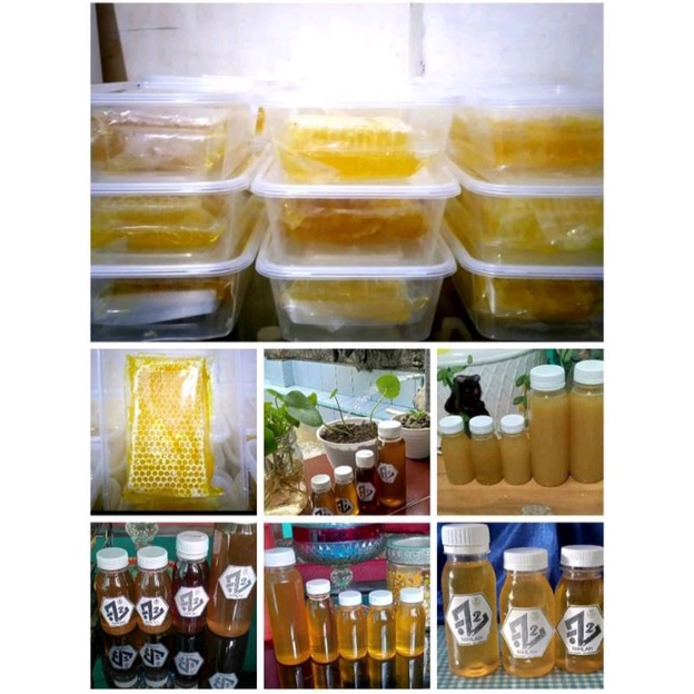 

Madu sarang Majalengka