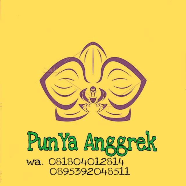 punya_anggrek