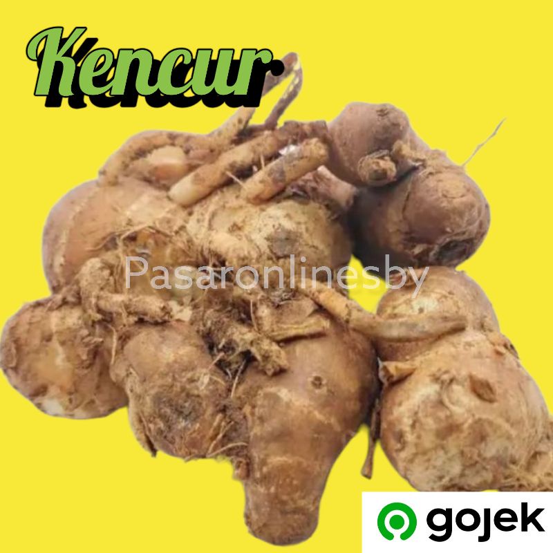 

PASAR GUBENG - Kencur Segar