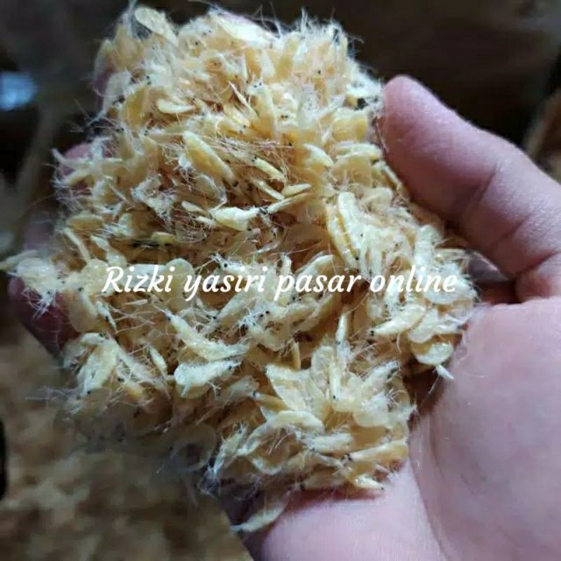 

UDANG REBON ASIN 250GRAM/SEPERAPAT