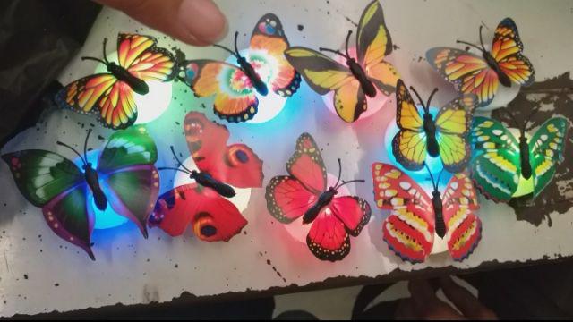Ams63 Led Kupu Kupu / Led Dekorasi Lampu Kupu Kupu Warna Lampu Kamar Tidur / Led Butterfly