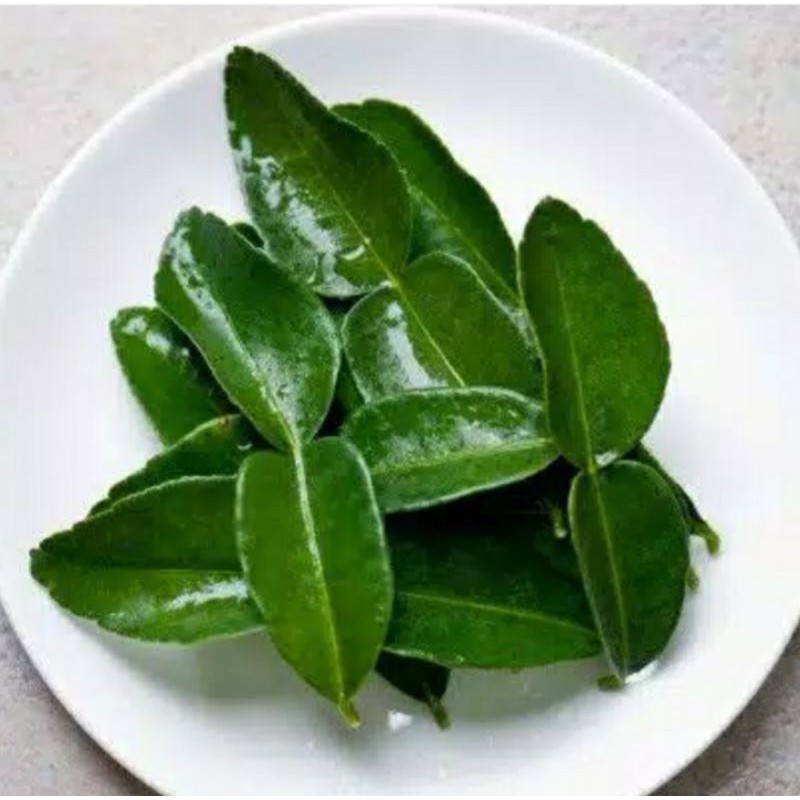 

Daun Jeruk