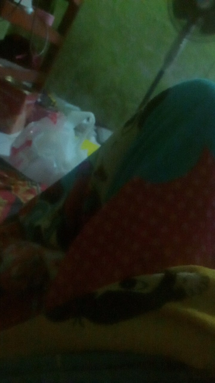 Couple Batik Natal Kebaya Brokat Catharina Gurdo Milo Blus Batik Brukat Rok Pendek Bahan Prada Foil