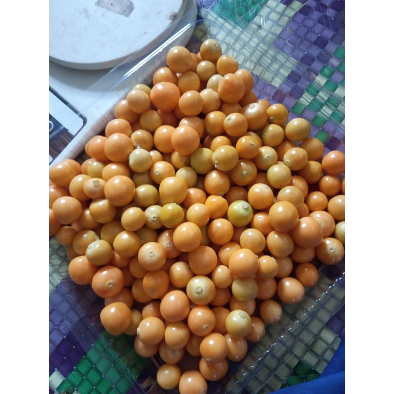 

buah ciplukan non cangkang 500gr