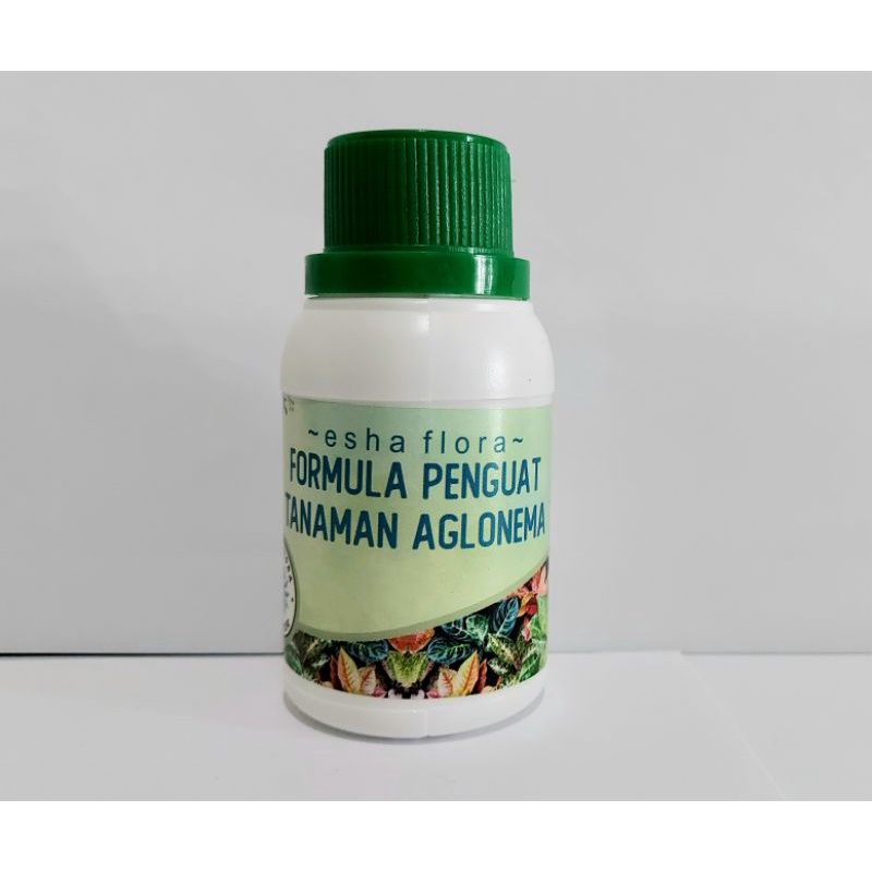 Formula Penguat Tanaman / Aglonema / Esha Flora