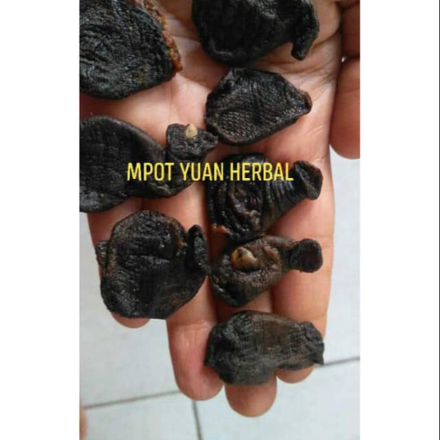 

Mpot Ayam yuan herbal 50gr