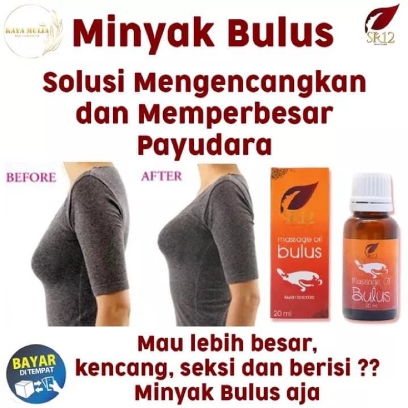 MINYAK BULUS SR12/ PEMBESAR PAYUDARA/ MINYAK SERBA GUNA
