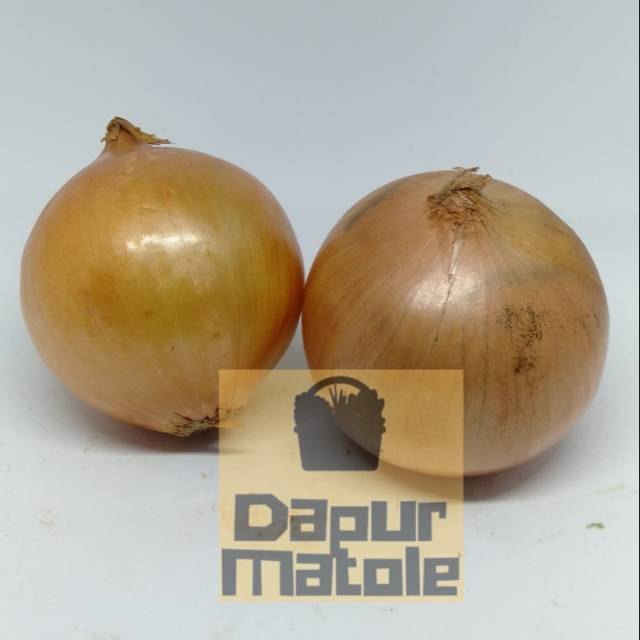 

BAWANG BOMBAI