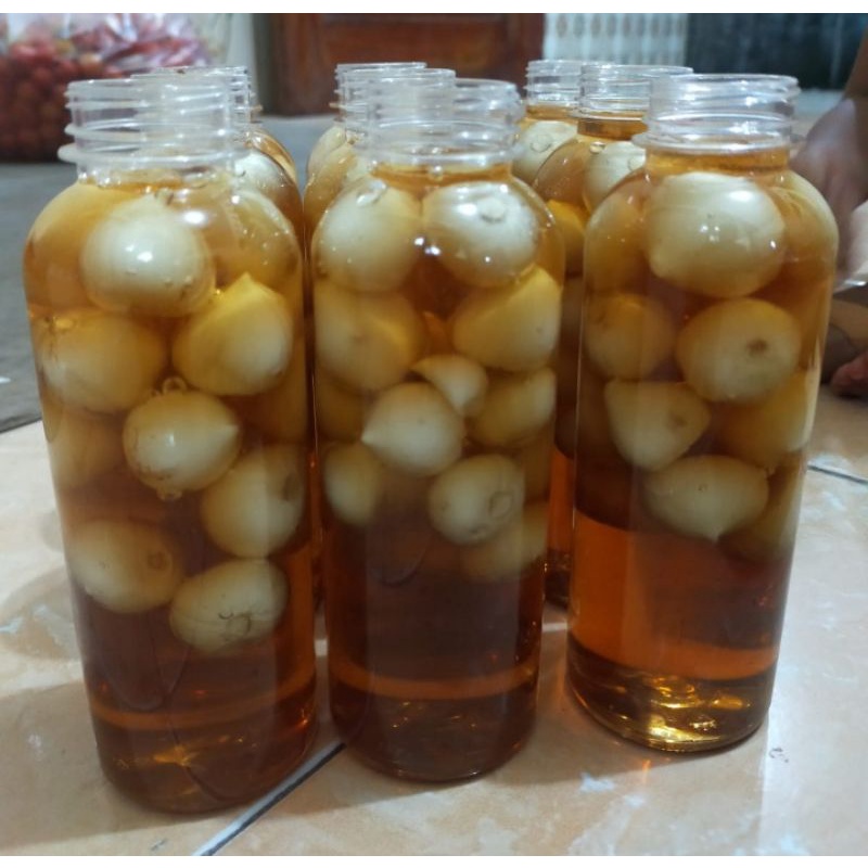 

Madu Klanceng Ternak asli I Murni 250ml I TERMURAH