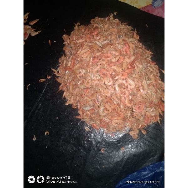 

udangkasar/udangmerah