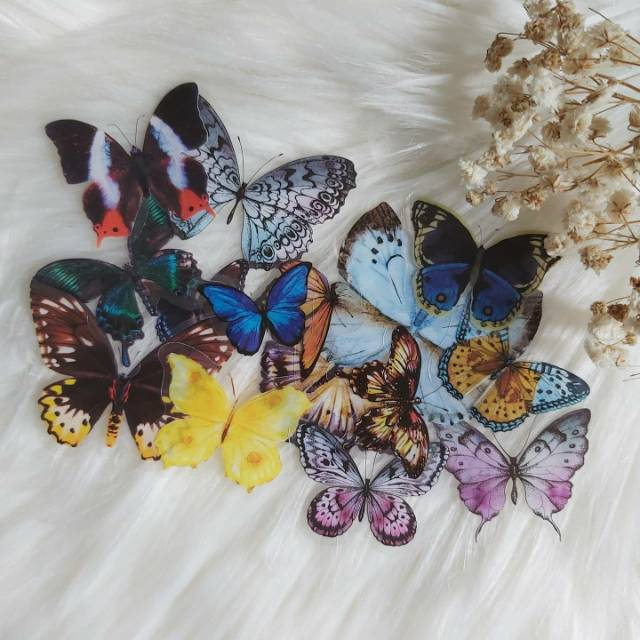 

BUTTERFLY COLLECTION STICKERS