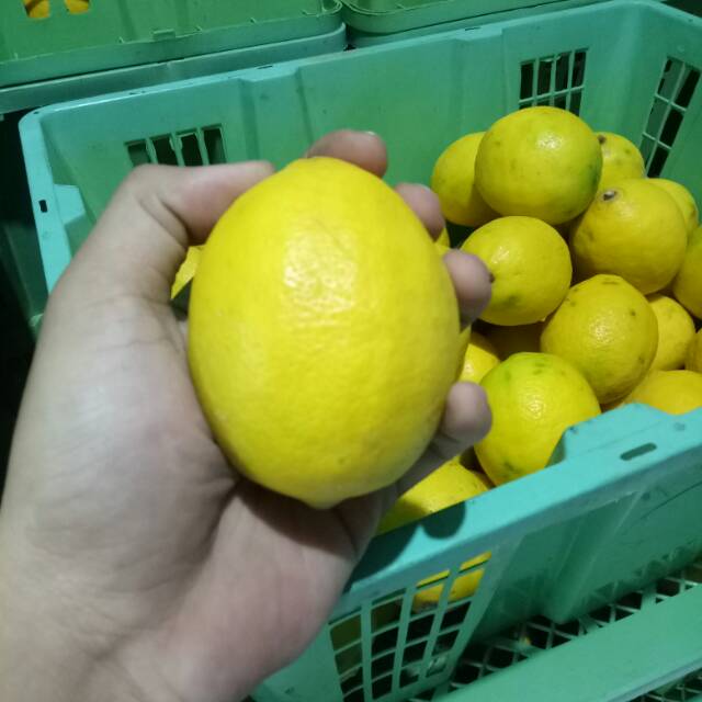 

Lemon California Lokal