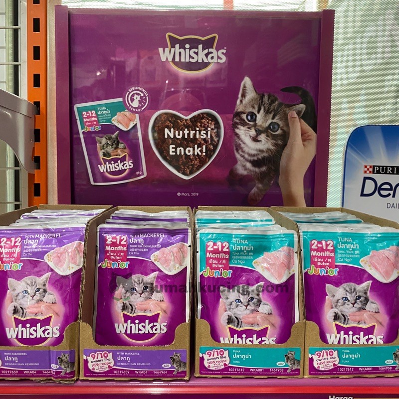 Whiskas Pouch makanan basah kucing Junior Adult  Shopee Indonesia