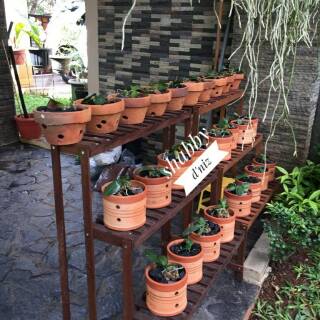  Cara  Membuat Tempat Pot Bunga Dari  Kayu Sebuah Tempat