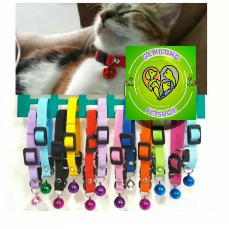 Kalung Kucing/Kalung Lonceng Random/Kalung kUcing Murah