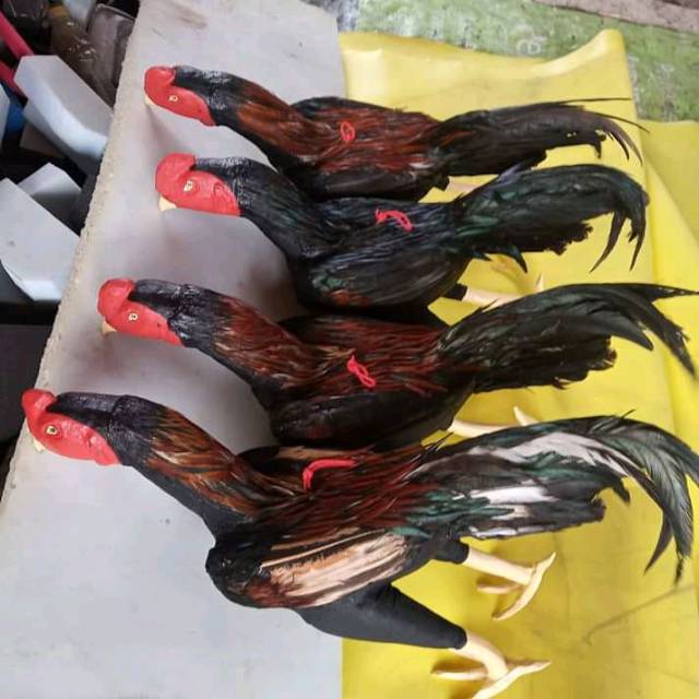 Boneka ayam untul