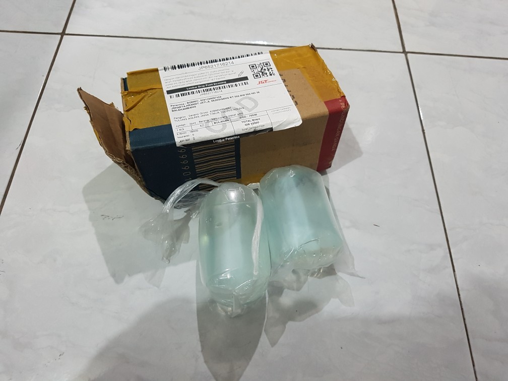 Ikan Cupang Plakat Gold